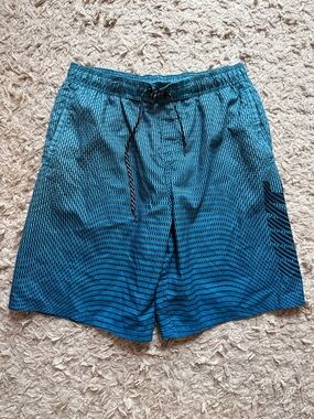 Men's Nike Swim Shorts